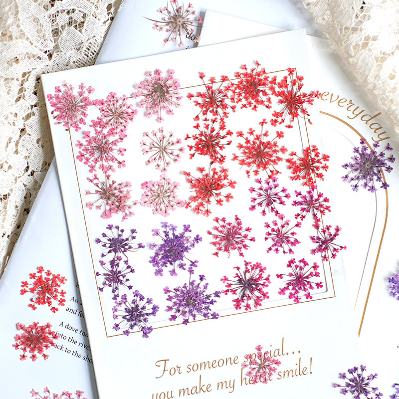 Pressed Flower Frame - 24 adet, 2-2.5cm, Doğal Boyalı Mini