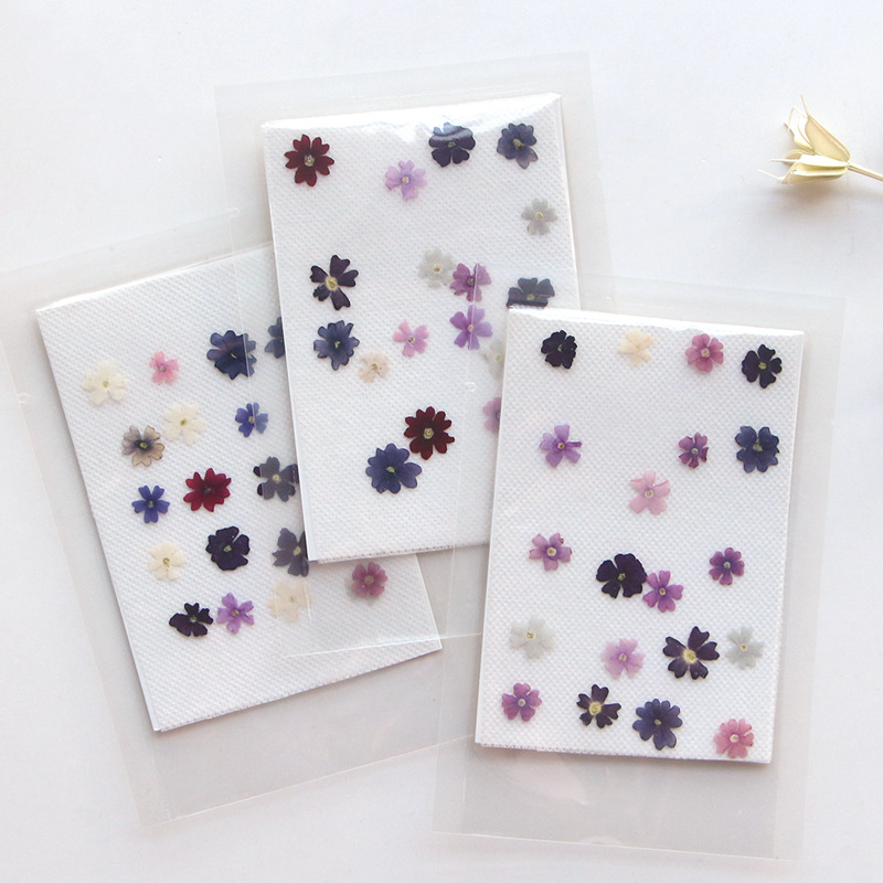 40 adet/grup, Mini güzellik ki - Pressed Flower Frame incelemesi ve fiyatı