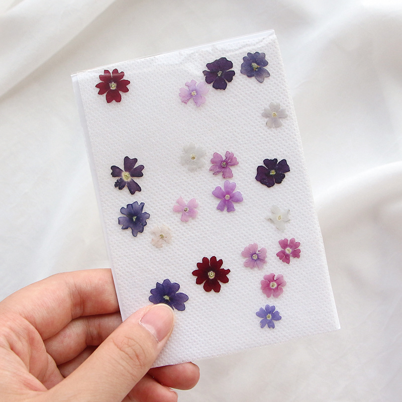 40 adet/grup, Mini güzellik ki - Pressed Flower Frame incelemesi ve fiyatı