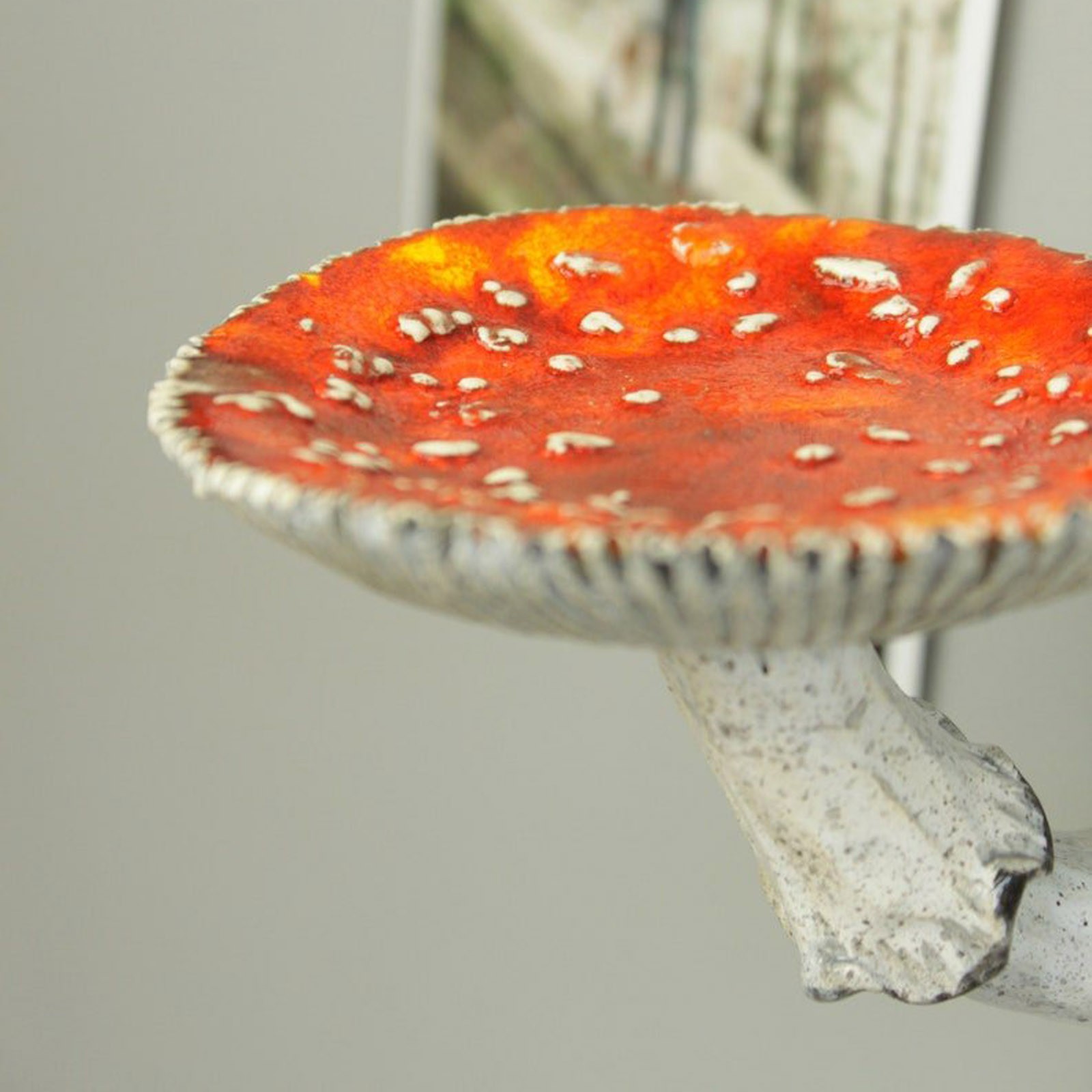 2024 Yaratıcı Reçine Mantar As - Floating Shelves incelemesi ve fiyatı