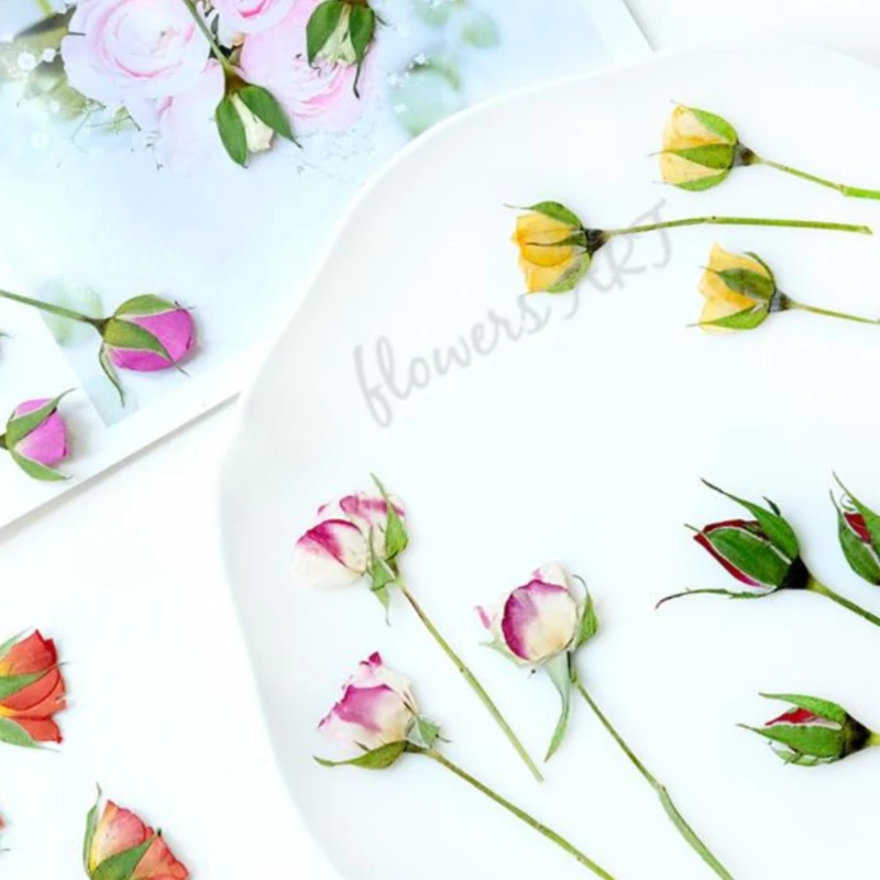 Preslenmiş Gül Tomurcuğu Çiçek - Pressed Flower Frame incelemesi ve fiyatı