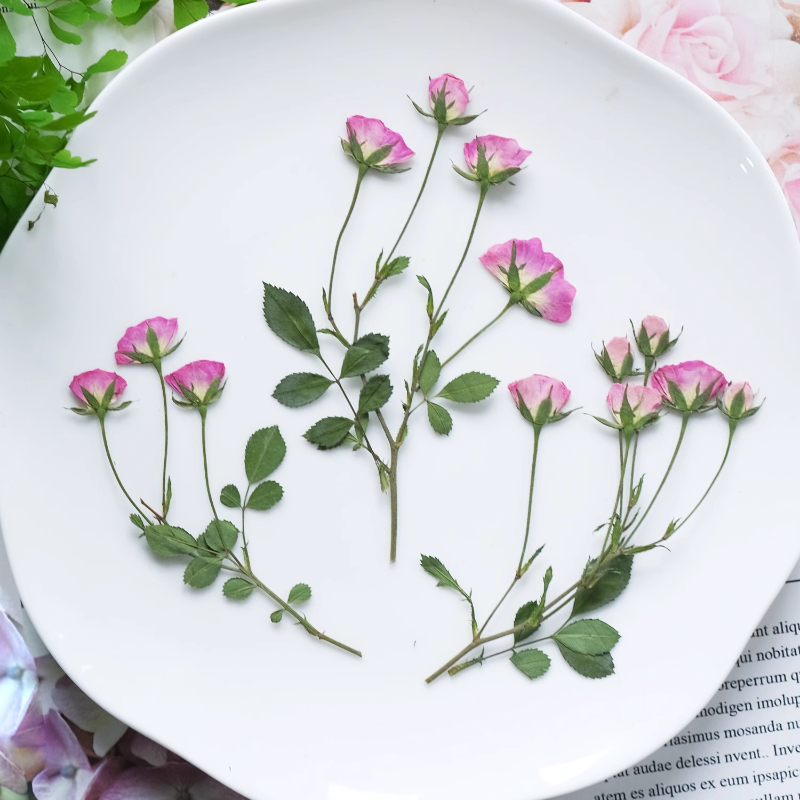 12 adet, Mini Pembe Gül Presle - Pressed Flower Frame incelemesi ve fiyatı