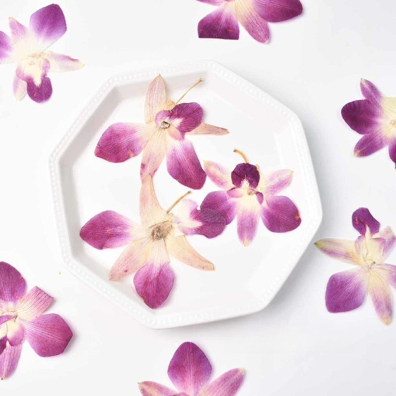 4 adet, Gerçek Preslenmiş Kele - Pressed Flower Frame incelemesi ve fiyatı