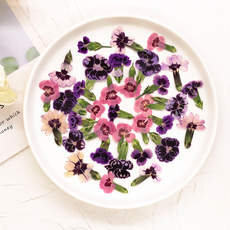 24 adet, Preslenmiş Kurutulmuş - Pressed Flower Frame incelemesi ve fiyatı