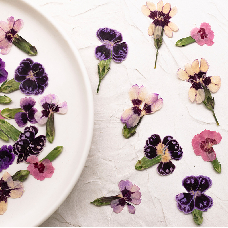 24 adet, Preslenmiş Kurutulmuş - Pressed Flower Frame incelemesi ve fiyatı
